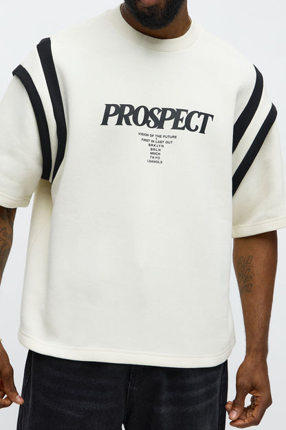 Prospect Boxy Short Sleeve Tee - Cream/combo - image 3