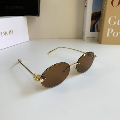 Dior Sunglasses — Power Dressing for the Modern Professional