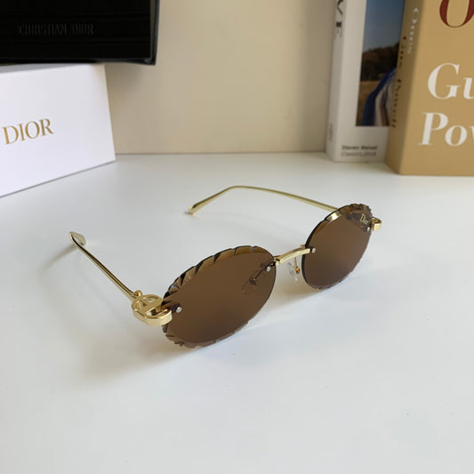 Dior Sunglasses — Power Dressing for the Modern Professional